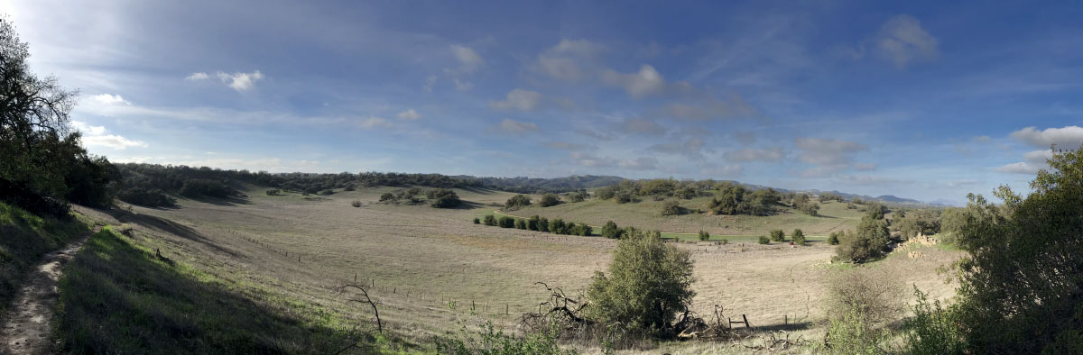 Santa Rosa Plateau, Early Spring ©2019 Eric Platt