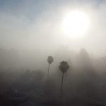 image Morning Fog